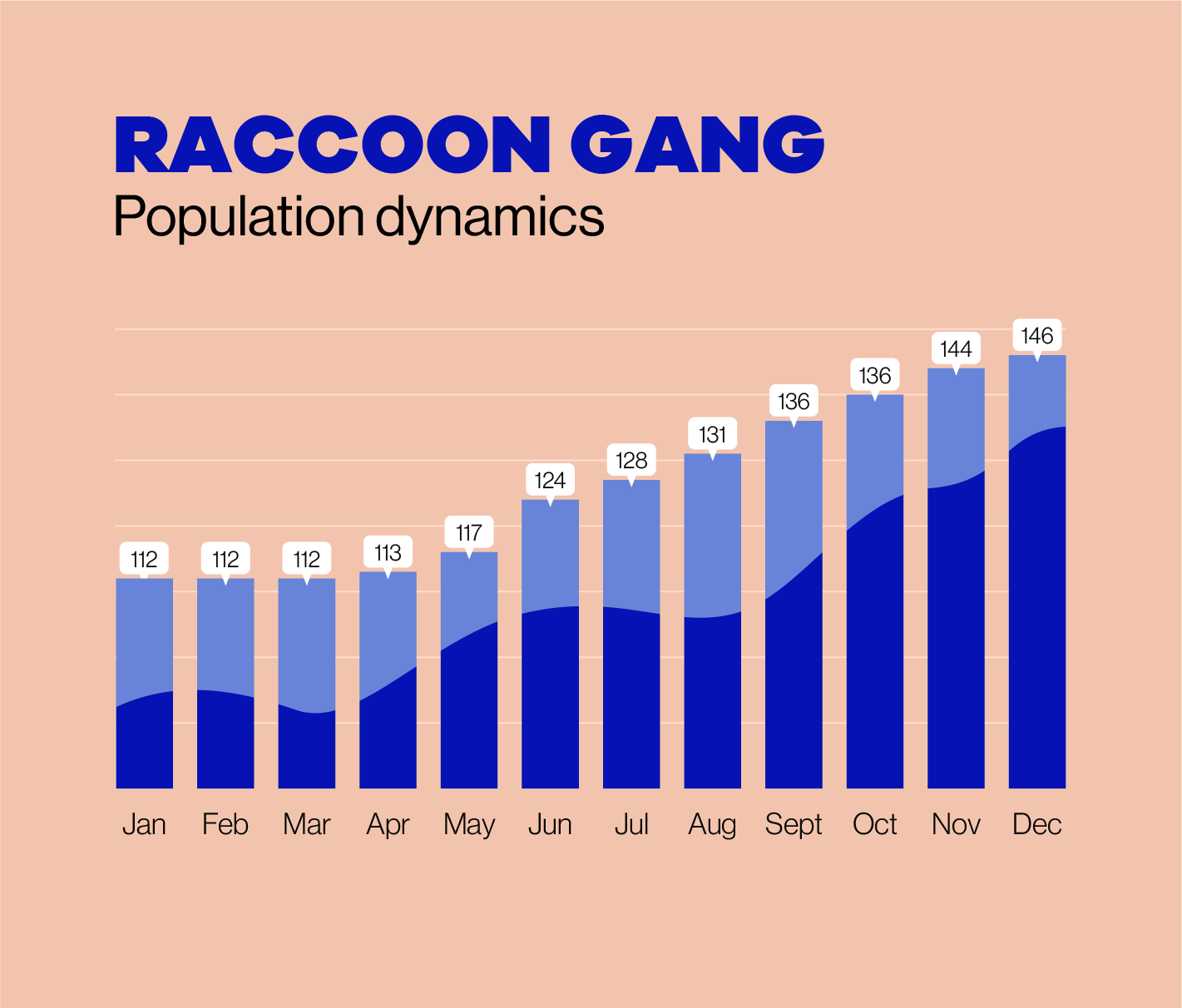 The Raccoon Gang population dynamics